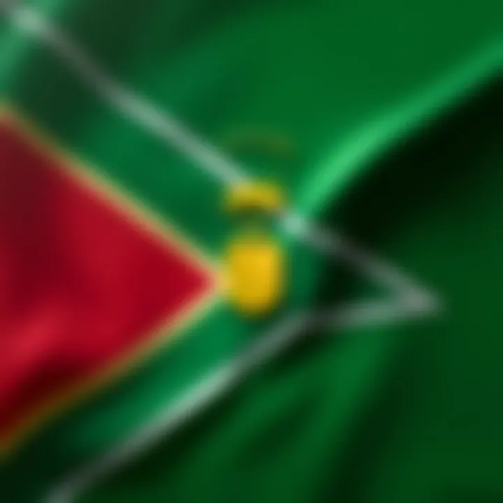 Illustration of South African flag with a shield symbolizing secure and regulated trading environment