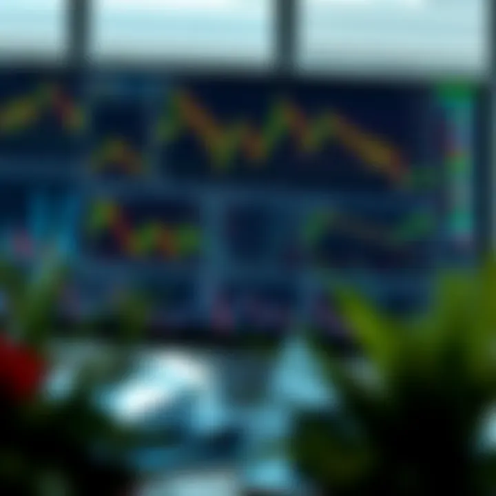 Top Forex Traders in South Africa: Profiles and Strategies