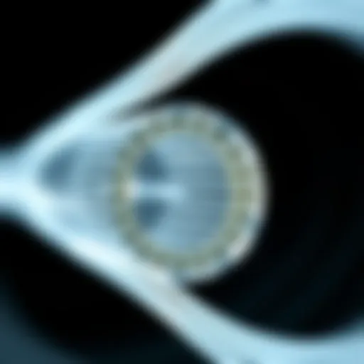 Cross-sectional view of an optical fiber showing the core and cladding with distinct refractive indices