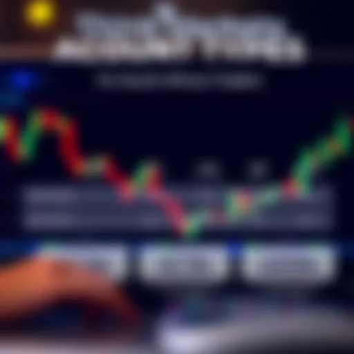 Diagram showing various account types offered by ThinkMarkets for traders in South Africa